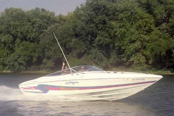 In Your Wildest Dreams